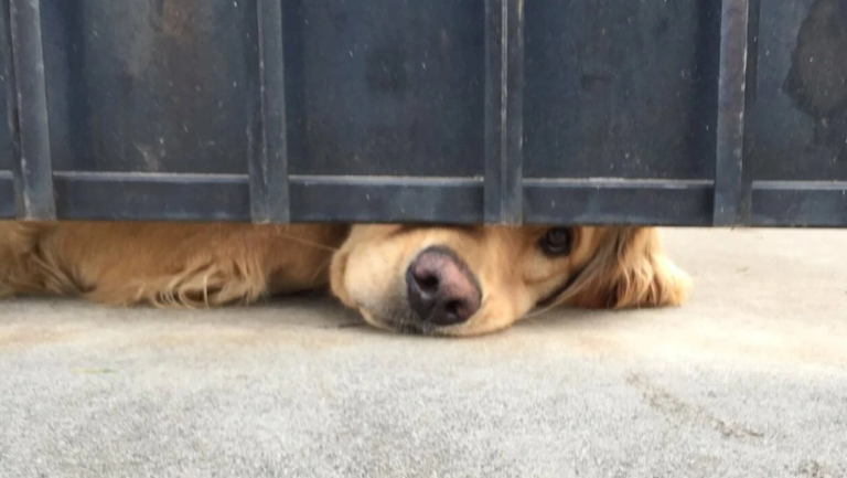 My First Book Deal – Part 1